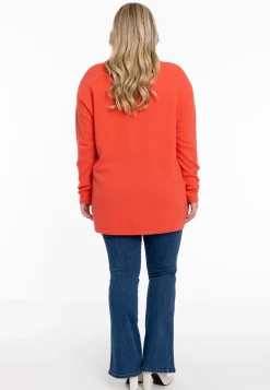 Trui met V-hals cashmere